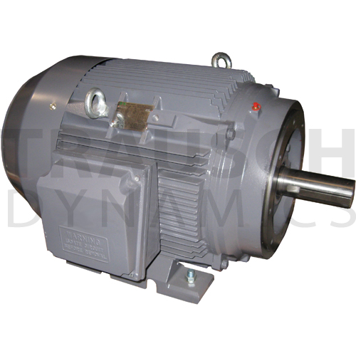 ELECTRIC MOTORS