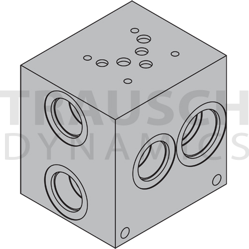 EXTRA HIGH FLOW PARALLEL MANIFOLDS