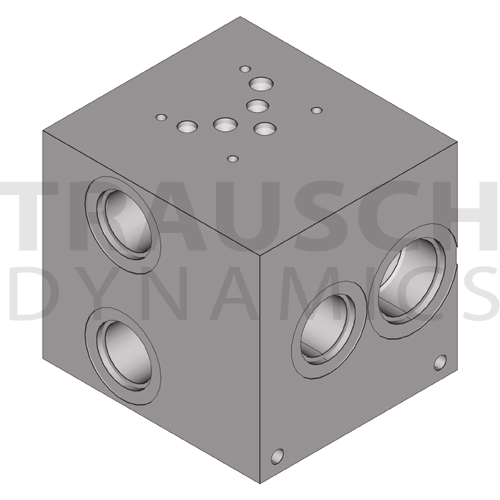 EXTRA HIGH FLOW PARALLEL MANIFOLDS