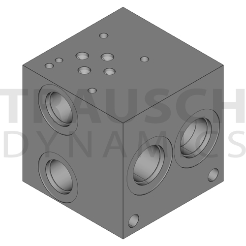 D03 STANDARD MANIFOLDS - DUCTILE