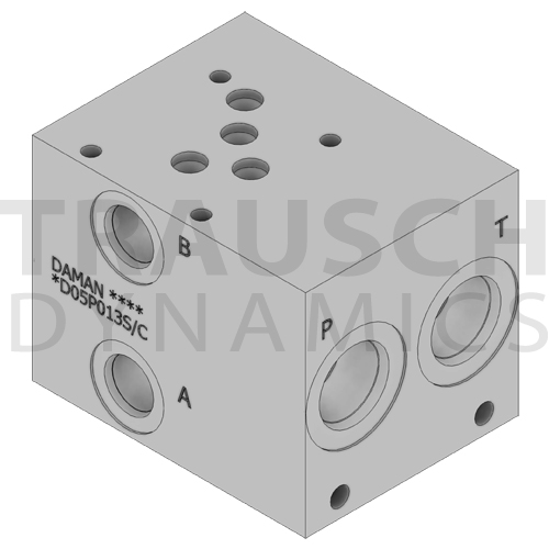 D05 STANDARD MANIFOLDS - DUCTILE