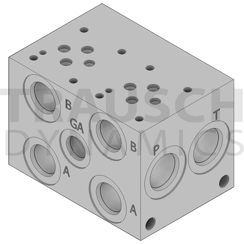 VALVE MANIFOLDS - TRAUSCH DYNAMICS