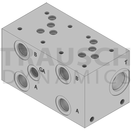 D05 SERIES MANIFOLDS